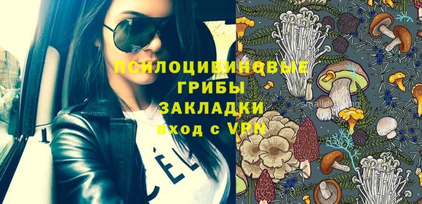 шишки Алексеевка