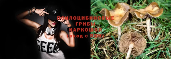МДПВ Алзамай