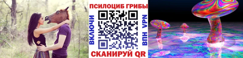 ссылка на мегу ссылка  Переславль-Залесский  Псилоцибиновые грибы прущие грибы  купить наркоту 